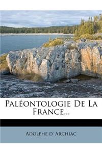 Paleontologie de La France...