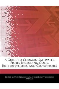 A Guide to Common Saltwater Fishes Including Gobis, Butterflyfishes, and Clownfishes