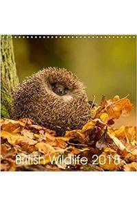 British Wildlife 2018 2018