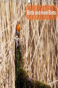 Birds and More Birds 2018
