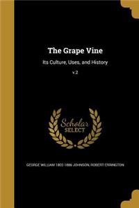 Grape Vine