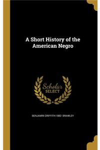 A Short History of the American Negro