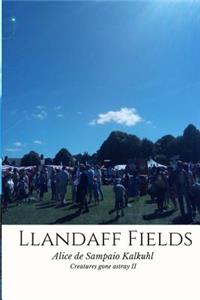 Llandaff Fields