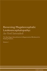 Reversing Megalencephalic Leukoencephalopathy: As God Intended the Raw Vegan Plant-Based Detoxification & Regeneration Workbook for Healing Patients. Volume 1