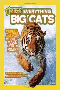 Ngk Everything Big Cats (Special Sales Edition)