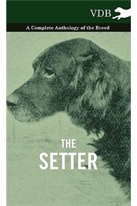 Setter - A Complete Anthology of the Breed