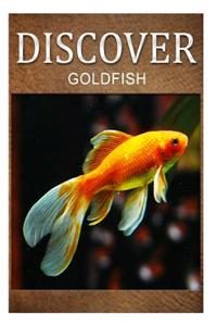 Gold fish - Discover