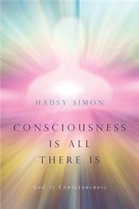 Consciousness is all there is