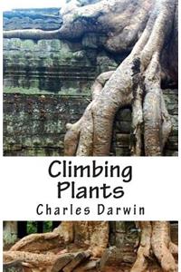 Climbing Plants