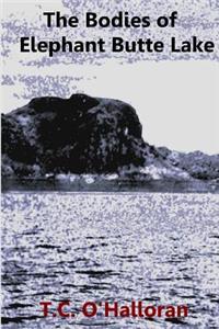 Bodies of Elephant Butte Lake