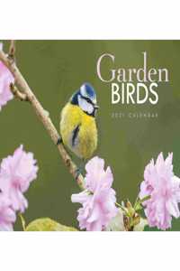 GARDEN BIRDS A4 CALENDAR 2021