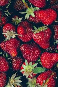 Ripe Red Strawberries Fruit Journal