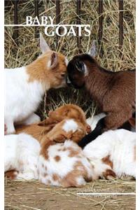 Baby Goats Weekly Planner 2017