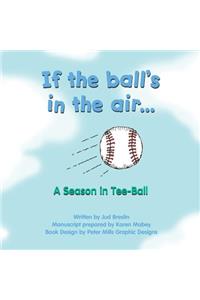 If the Ball's in the Air... a Season in Tee-Ball