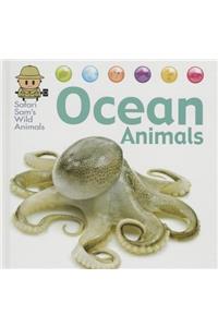 Ocean Animals