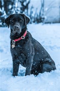 Labrador Retriever Dog Pup Puppy Doggie Notebook Bullet Journal Diary Composition Book Notepad - Deep in Snow