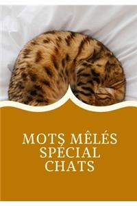 Mots Mêlés Spécial Chats