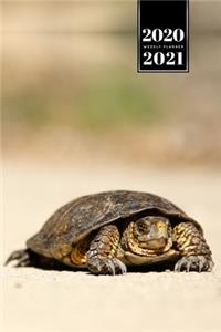 Sea Turtle Tortoise Terrapin Week Planner Weekly Organizer Calendar 2020 / 2021 - Sunbathing on Beach