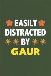 Easily Distracted By Gaur
