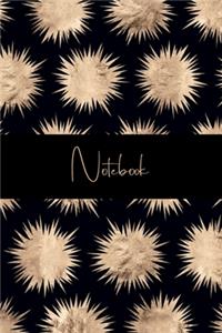 Notebook Stars