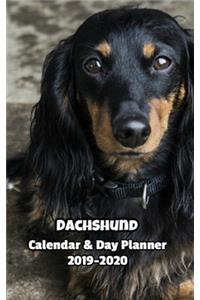 Dachshund Calendar & Day Planner 2019-2020