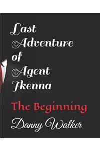 Last Adventure of Agent Ikenna