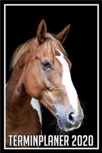 Terminplaner 2020
