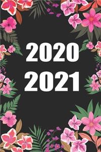 2020 / 2021