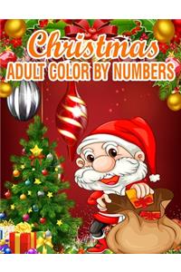 Christmas Adult Color By Numbers