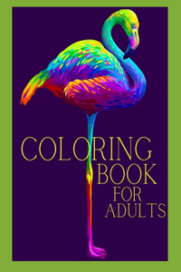 Coloring Book for Adults