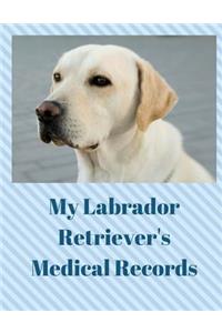 My Labrador Retriever's Medical Records