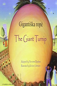 Giant Turnip