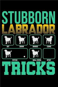 Stubborn Labrador Tricks
