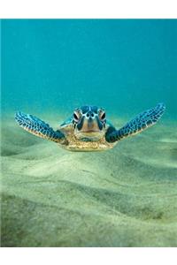 Sea Turtle Bullet Journal