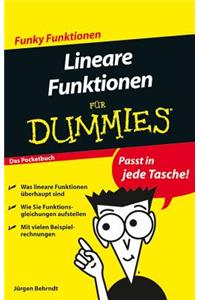 Lineare Funktionen Fur Dummies