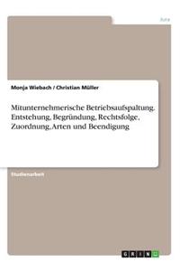 Mitunternehmerische Betriebsaufspaltung. Entstehung, Begründung, Rechtsfolge, Zuordnung, Arten und Beendigung