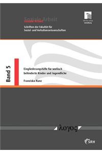 Eingliederungshilfe Fur Seelisch Behinderte Kinder Und Jugendliche: Entwicklungspsychologie Des Kindes- Und Jugendalters: Zusammenspiel Von Risiko- Und Schutzfaktoren Bei Der Entstehung Der Seelischen Behinderung - R