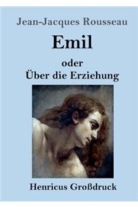Emil oder Über die Erziehung (Großdruck)