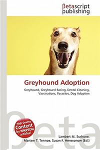 Greyhound Adoption