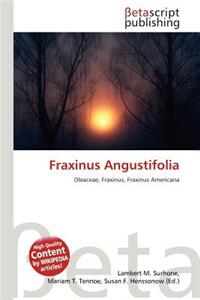 Fraxinus Angustifolia