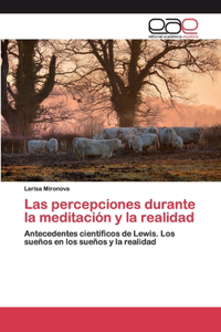 Las percepciones durante la meditación y la realidad