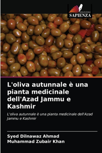 L'oliva autunnale è una pianta medicinale dell'Azad Jammu e Kashmir