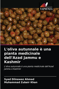 L'oliva autunnale è una pianta medicinale dell'Azad Jammu e Kashmir