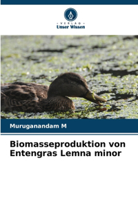 Biomasseproduktion von Entengras Lemna minor