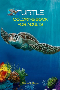 Turtle Coloring Book for Adults