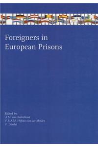 Foreigners in European Prisons