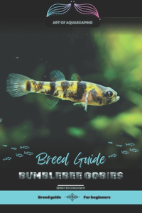 Bumblebee Gobies