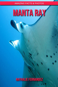 Manta Ray: Amazing Facts & Photos