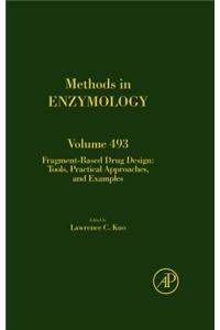 Fragment-Based Drug Design