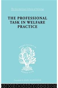 Professional Task in Welfare Practice